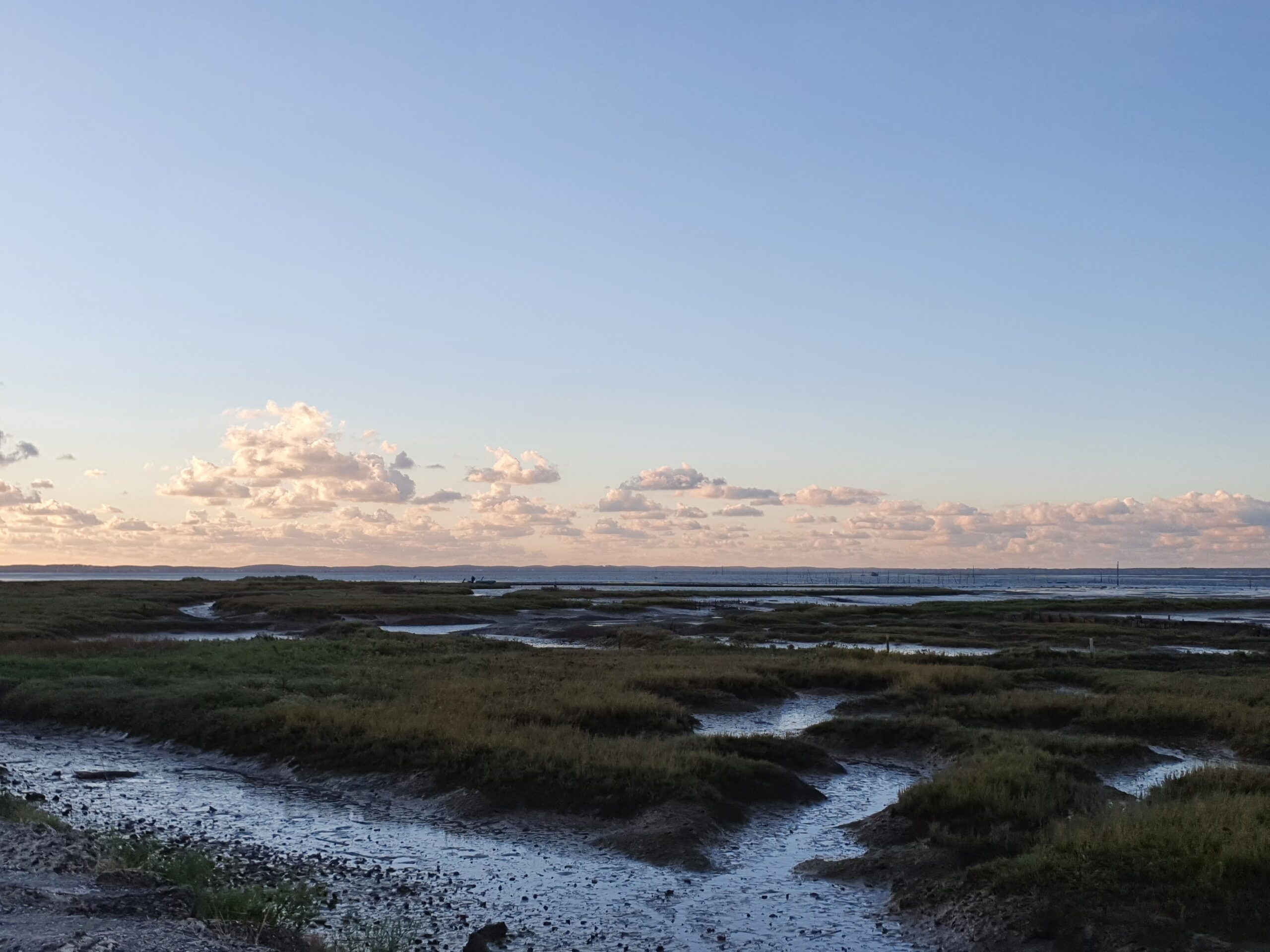 Paysage Gironde