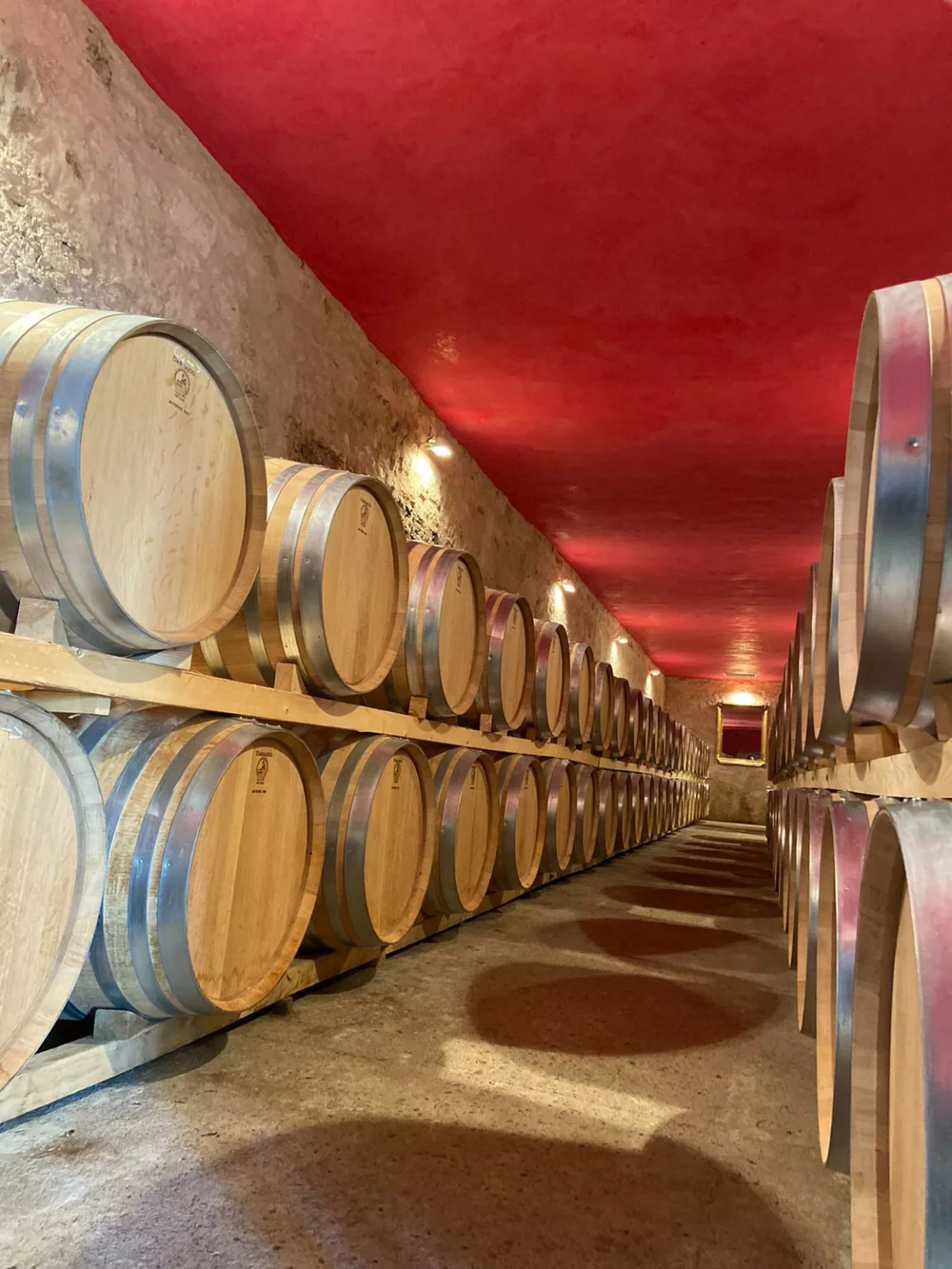 Chai à barriques d'un domaine viticole de Gironde