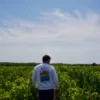 Sweat oversize Macaron ESTEY blanc, vue de dos dans les vignes Sweat oversize Macaron ESTEY blanc porté de dos dans les vignes, impression grand format au dos