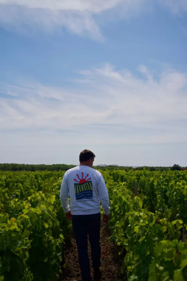 Sweat oversize Macaron ESTEY blanc, vue de dos dans les vignes Sweat oversize Macaron ESTEY blanc porté de dos dans les vignes, impression grand format au dos